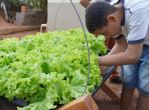 Escola Padre Inácio é contemplada com Projeto