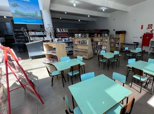 Biblioteca Viriato Corrêa integra a plataforma Minas Criativa